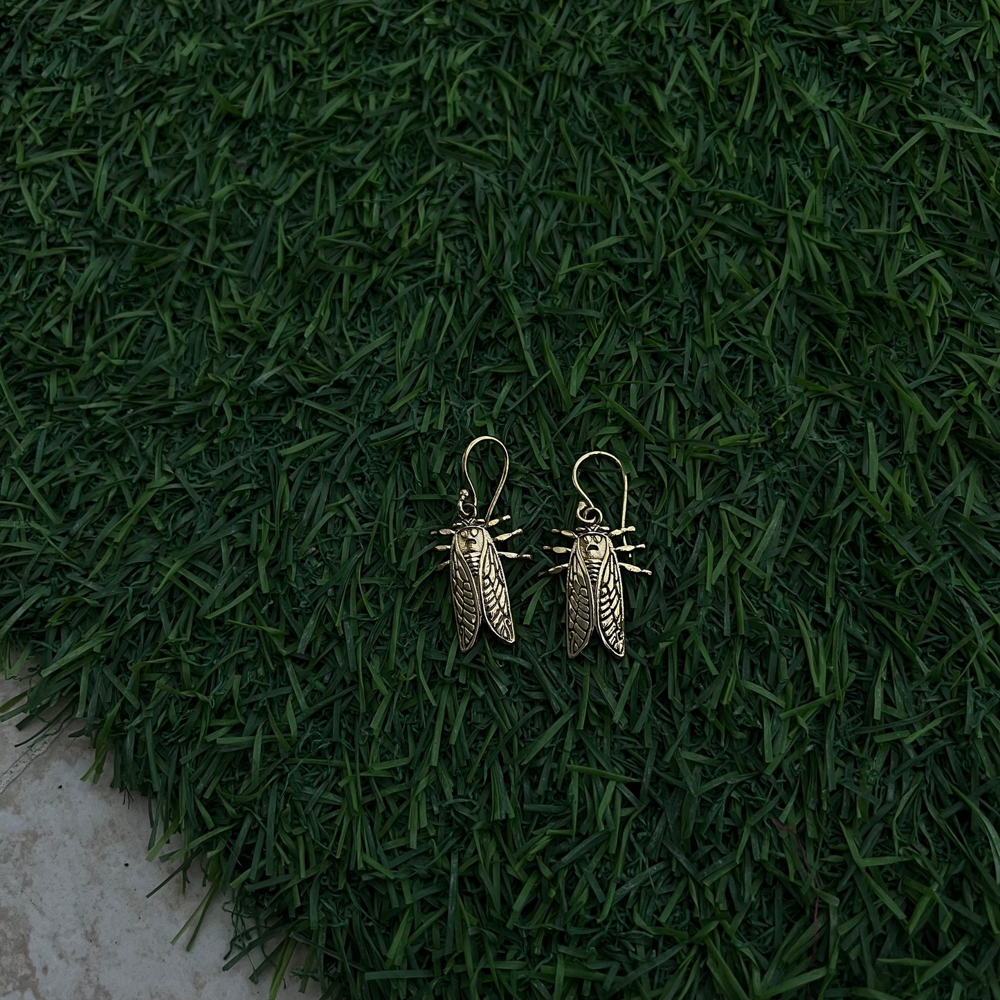 Bug Earrings