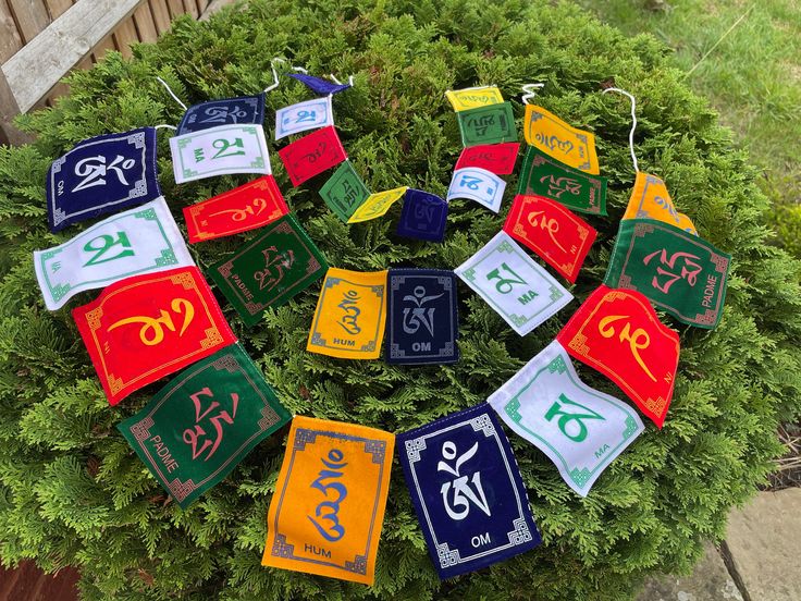2 Tibetan Flag - Small