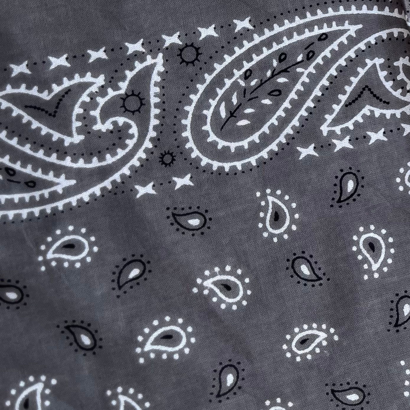 Bandana : Mr Grey